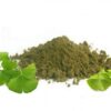 Ginkgo Biloba en Poudre