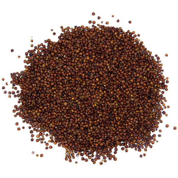 Quinoa Rouge en vrac